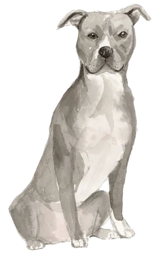 狗狗水彩画插画免扣素材可爱宠物狗