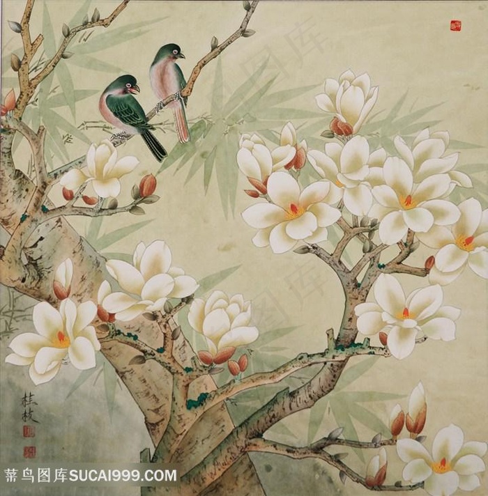 花卉花鸟玉兰花装饰画