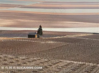 唯美自然风光素材图片