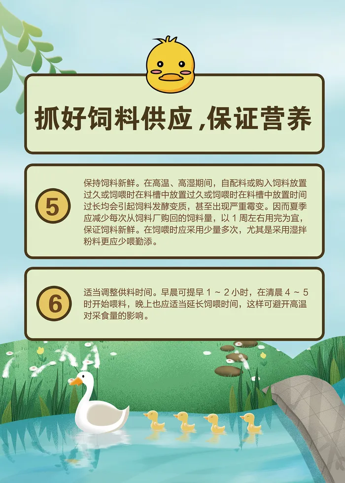 夏季肉鸭饲养管理技术psd模版下载