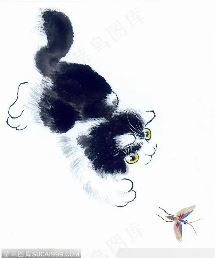 玩耍的小麻猫