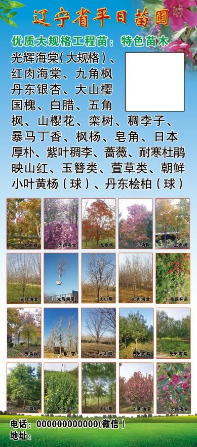 苗木 苗圃展架psd模版下载