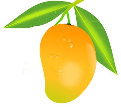 芒果 PNG免抠(400x369)