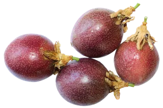 百香果成熟四个