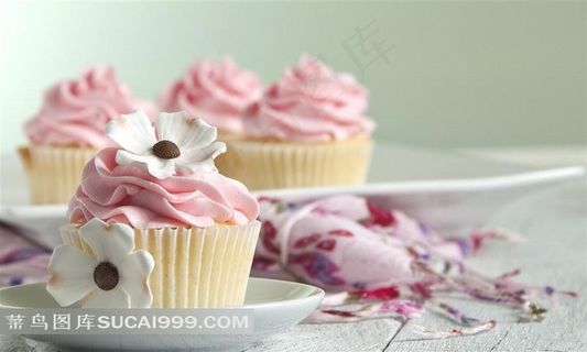 超多超美味的纸杯蛋糕素材大图