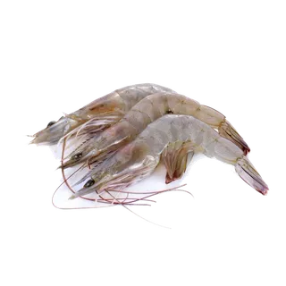 虾类(46)海鲜超市商品红酒白底图免抠实物摄影png格式图片透明底