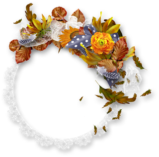 边框花框鲜花蕾丝边