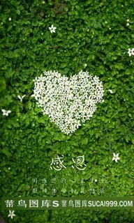 感恩节简洁海报设计 感恩节简洁海报设计