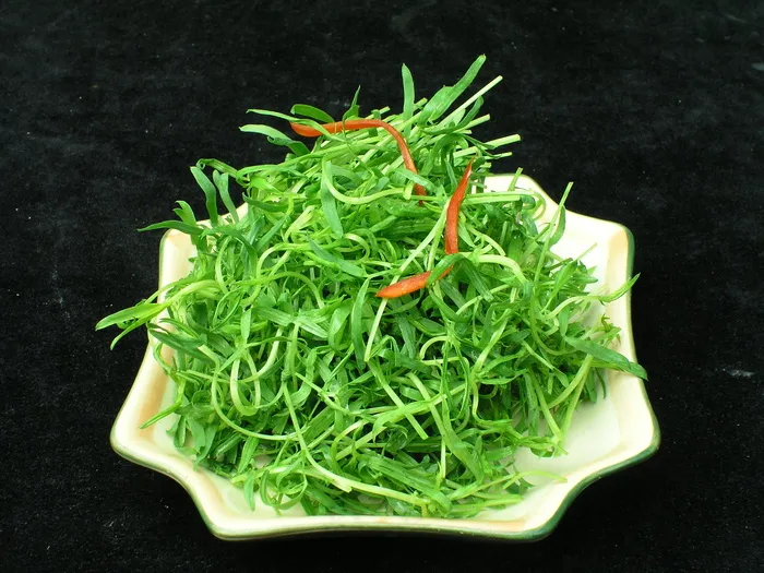 0072拌苦菊.JPG