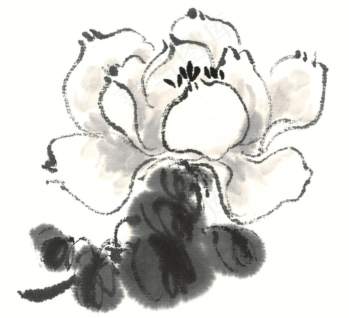 写意花卉文化艺术素材