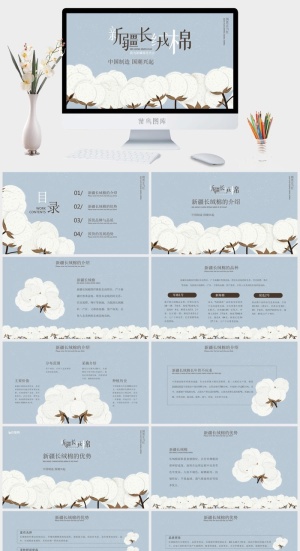 新疆长绒棉清新PPT模板预览图