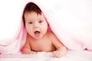 趴着的宝宝写真图片