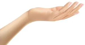 手 PNG免抠
