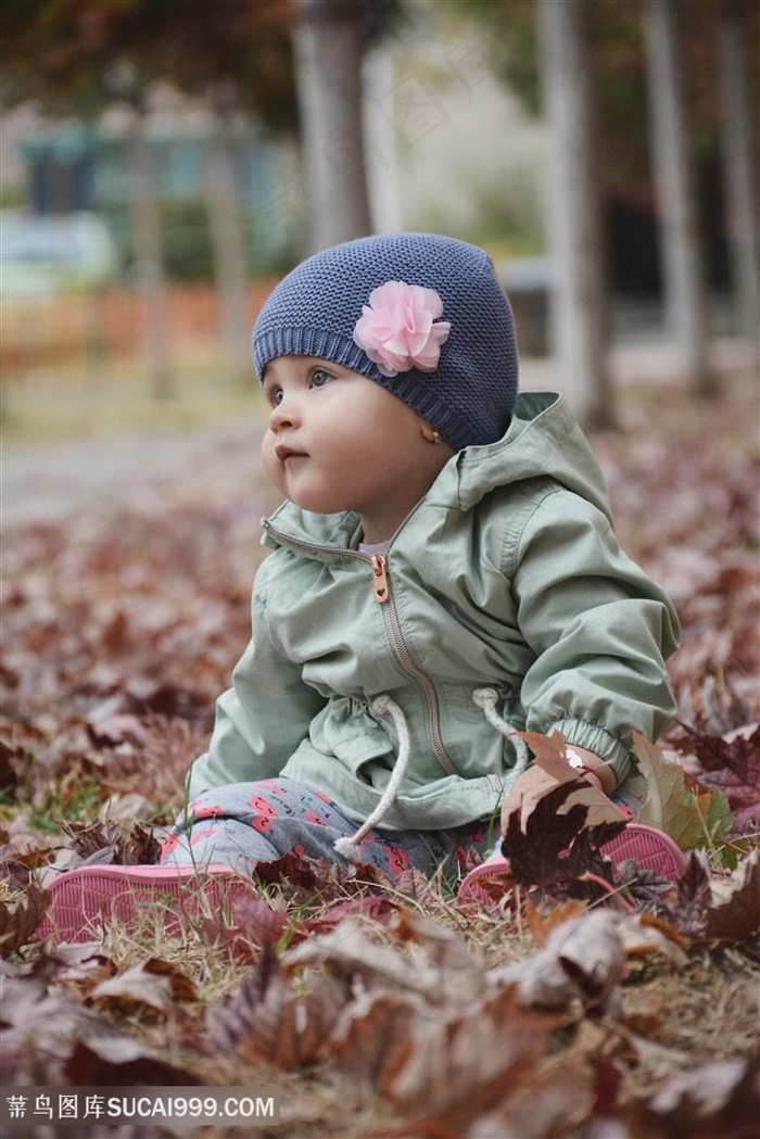 户外秋天郊游可爱宝宝