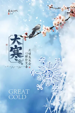 24二十四节气传统节日大寒宣传活动海报插画合集psd设计素材模板