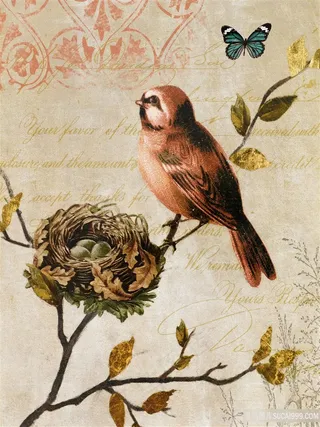 欧美装饰画花鸟蝴蝶