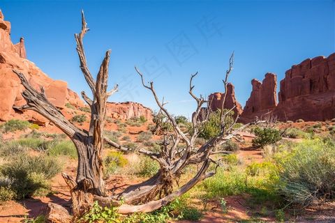 美丽的峡谷景色高清素材图片