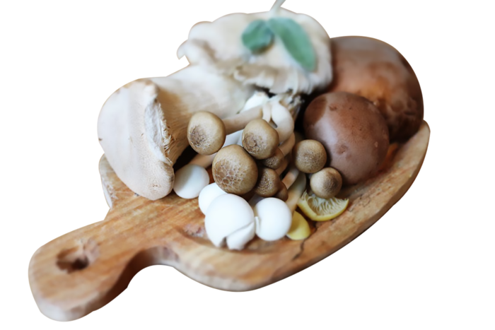 免抠元素摄影美食素材菇类