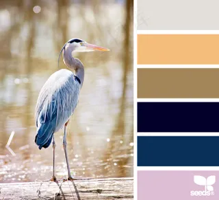 动物配色色卡色彩搭配