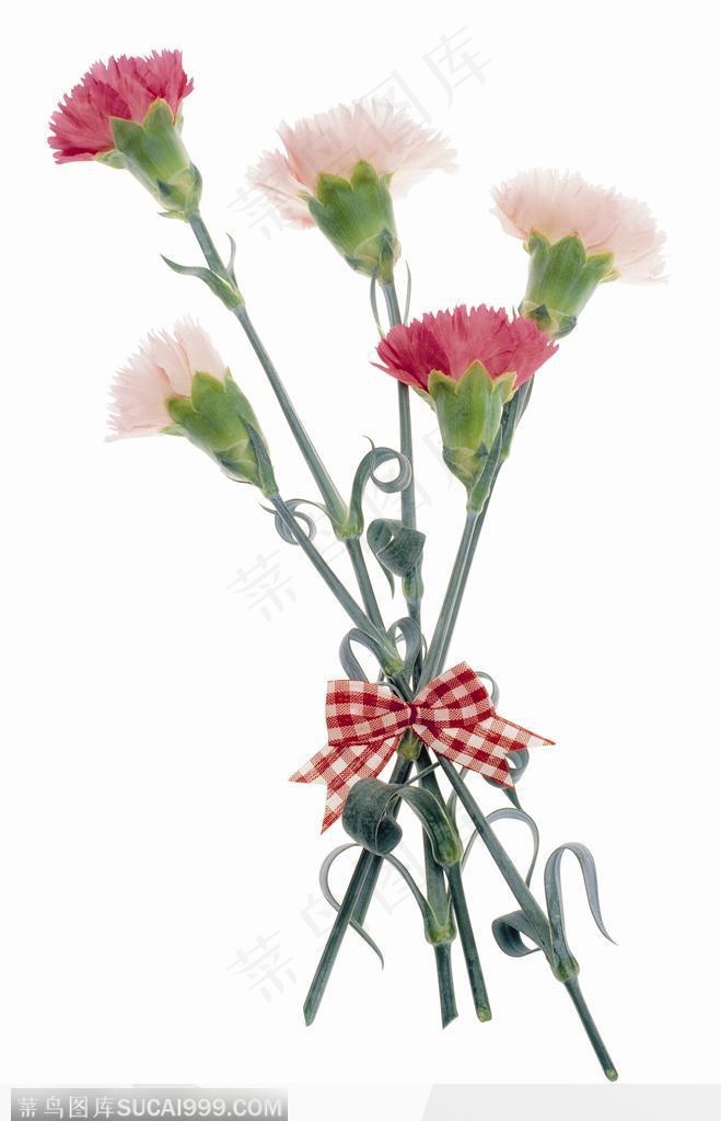 花饰小品-一束漂亮的花朵