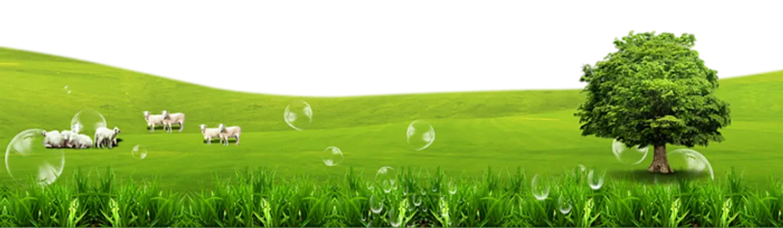 畜牧养殖现代农业