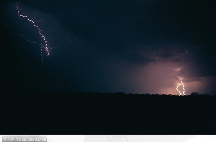 夜幕电闪雷鸣下的树林