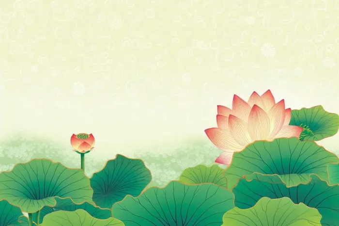 国潮荷花插画背景(1344x896)