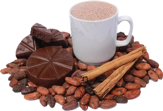 可可果实可可粉免抠 (10)