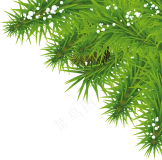 圣诞树免扣png  圣诞树免扣png