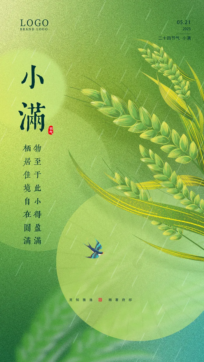 小满节气psd模版下载