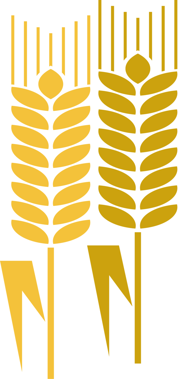 金色麦穗丰收免抠图