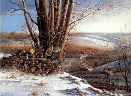 胡安米罗风景油画 胡安米罗风景油画