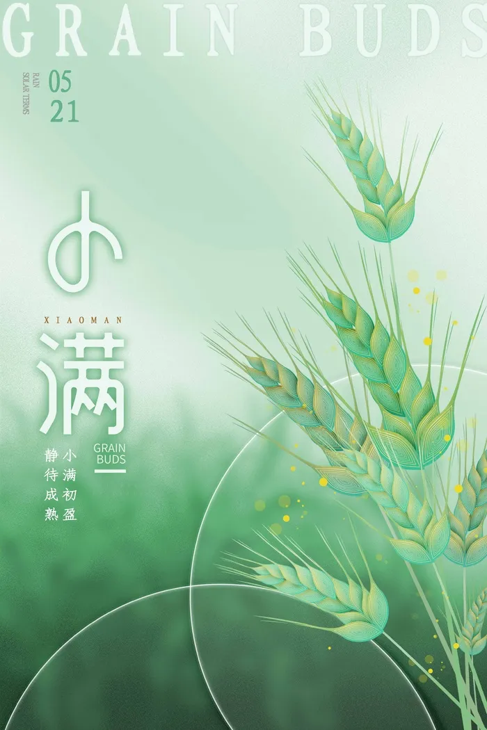 小满 小满节气海报psd模版下载
