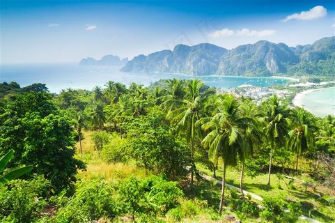 唯美热带雨林景色素材
