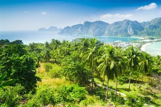 唯美热带雨林景色素材