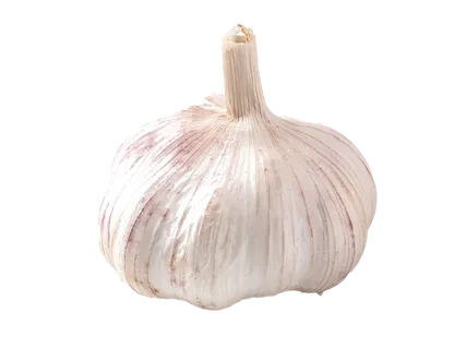 158大蒜2超市商品白底图免抠实物摄影png格式图片透明底