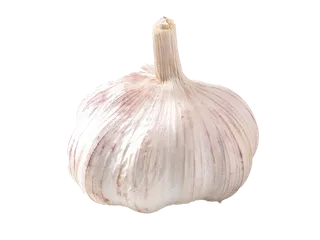 158大蒜2超市商品白底图免抠实物摄影png格式图片透明底