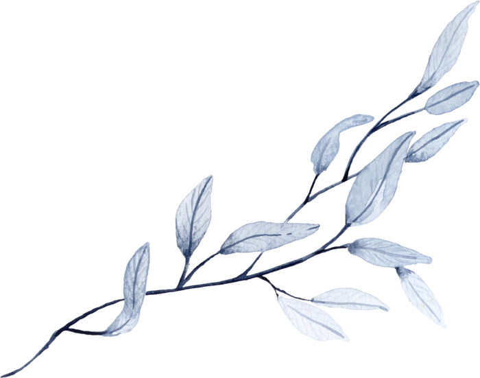 海军蓝金线水彩花卉素材