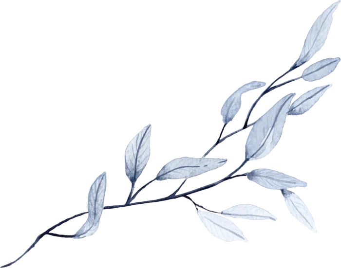 海军蓝金线水彩花卉素材