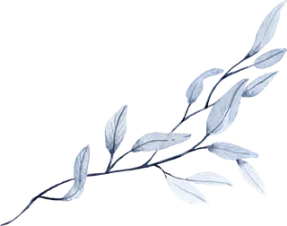 海军蓝金线水彩花卉素材