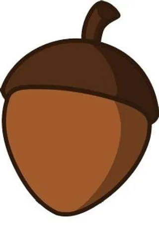 橡子 PNG 图像免抠