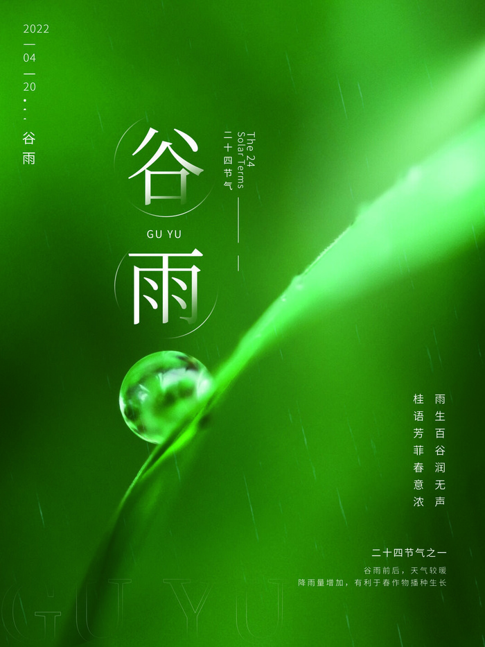 谷雨海报