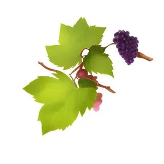 葡萄水果免抠