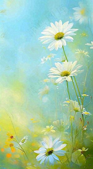 春天清新白色花朵温馨，蓝色朦胧，立春惊蛰春分摄影图