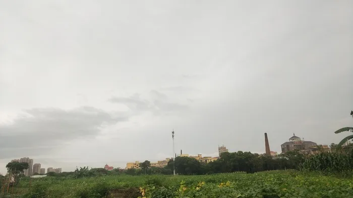 田野树木乌云摄影图