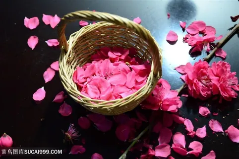 高清唯美粉色桃花花瓣图片