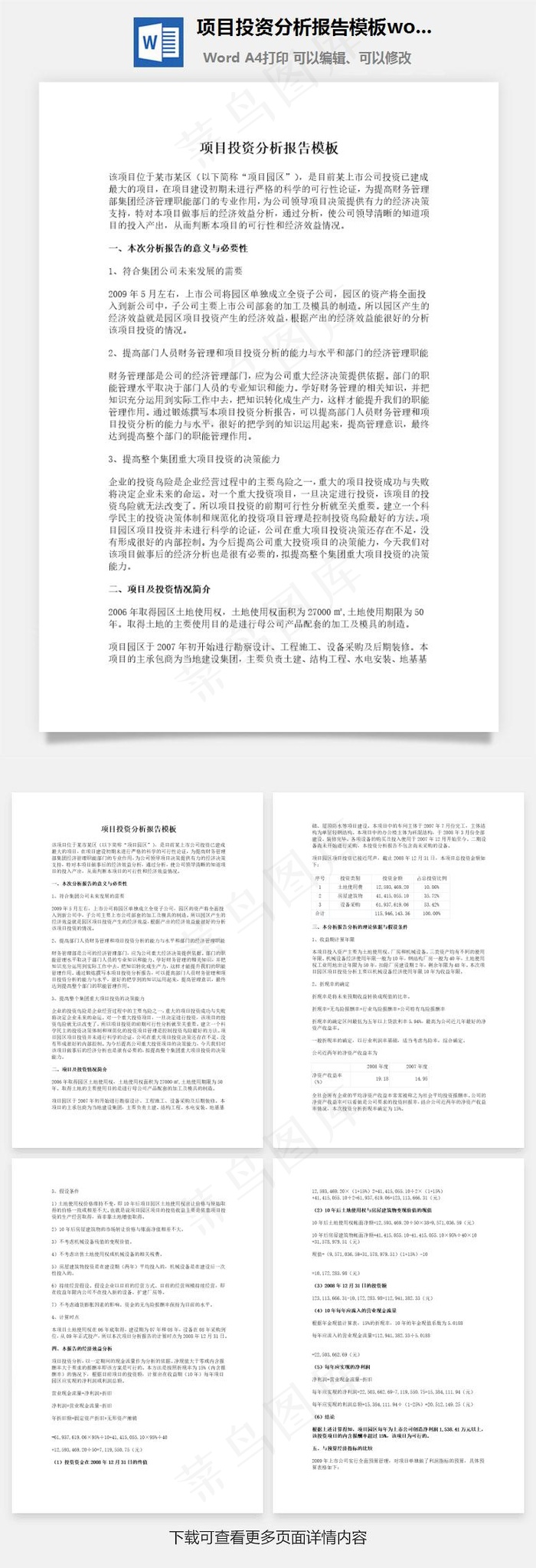 项目投资分析报告模板word文档