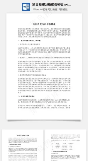 项目投资分析报告模板word文档