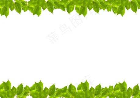 绿色树叶边框设计素材 绿色树叶边框设计素材