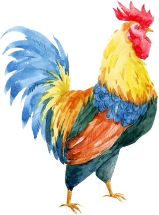 大公鸡png无背景矢量图，新年产品包装元素